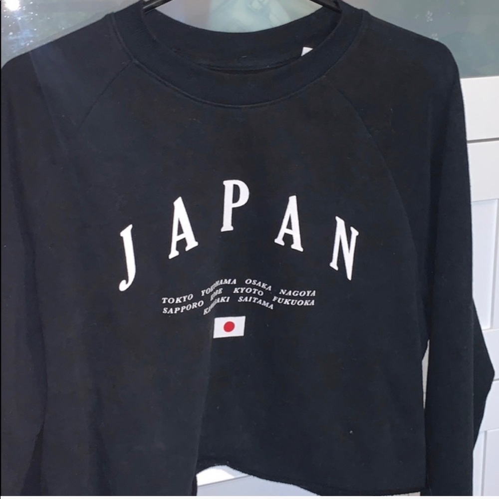 pacsun cropped sweater